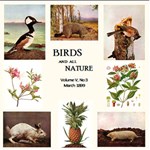 Birds and All Nature, Vol. V, No 3, March 1899