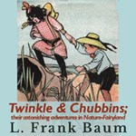 Twinkle and Chubbins; Their Astonishing Adventures in Nature-Fairyland