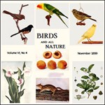 Birds and All Nature, Vol. VI, No 4, November 1899
