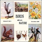 Birds and All Nature, Vol. VI, No 5, December 1899