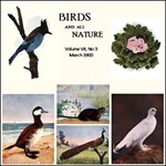 Birds and All Nature, Vol. VII, No 3, March 1900