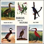 Birds and All Nature, Vol. VII, No 4, April 1900