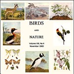 Birds and Nature, Vol. VIII, No 4, November 1900
