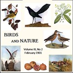 Birds and Nature, Vol. IX, No 2, February 1901