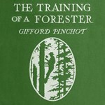 Training of a Forester
