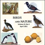 Birds and Nature, Vol. IX, No 4, April 1901