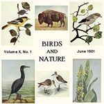 Birds and Nature, Vol. X, No 1, June 1901