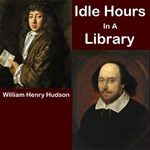 Idle Hours In A Library