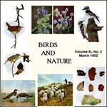 Birds and Nature, Vol. XI, No 3, March 1902