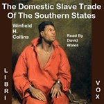 Domestic Slave Trade Of The Southern States