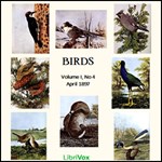 Birds, Vol. I, No 4, April 1897