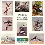 Birds, Vol. II, No 5, November 1897