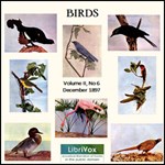 Birds, Vol. II, No 6, December 1897