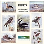Birds, Vol. III, No 2, February 1898