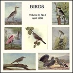 Birds, Vol. III, No 4, April 1898