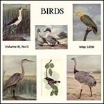 Birds, Vol. III, No 5, May 1898