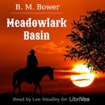 Meadowlark Basin