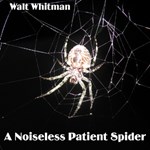 Noiseless Patient Spider, A