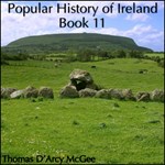 Popular History of Ireland, Book 11
