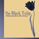 Black Tulip, The