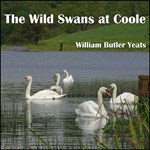 Wild Swans at Coole, The