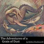 Adventures of a Grain of Dust