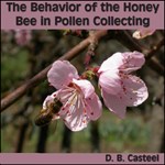Behavior of the Honey Bee in Pollen Collecting, The