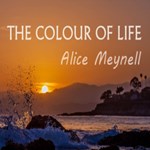 Colour of Life