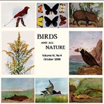 Birds and all Nature, Vol. IV, No 4, October 1898
